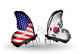 Two Butterflies With Flags 