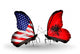 Two Butterflies with Flags Usa and Albania Wall Mural