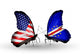 Two Butterflies with Flags Usa and Cape Verde Wall Decal