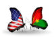 Two Butterflies with Flags Usa and Burkina Faso Wall Decal