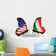 Two Butterflies with Flags Usa and Ireland 