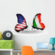 Two Butterflies with Flags Usa and Ireland 