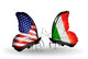 Two Butterflies with Flags Usa and Ireland 