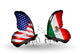 Two Butterflies with Flags Usa and Mexico Wall Decal
