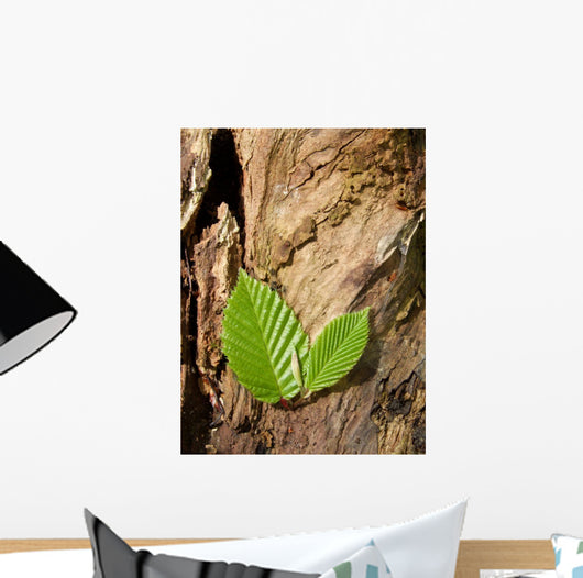 Buchenbltter Wall Mural