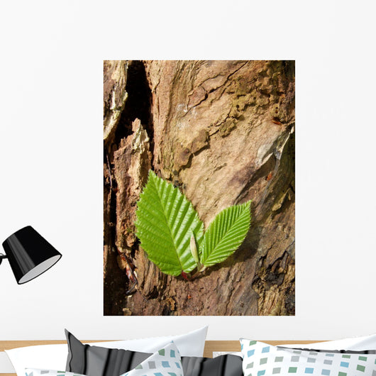 Buchenbltter Wall Mural