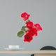 Red rose flower bouquet isolated on white background cutout Wall Decal