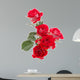Red rose flower bouquet isolated on white background cutout Wall Decal