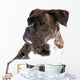 Boxer on a White Background 