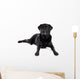 Black Labrador Retriever Dog on a White Background Wall Decal