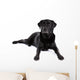 Black Labrador Retriever Dog on a White Background Wall Decal