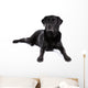 Black Labrador Retriever Dog on a White Background Wall Decal