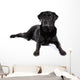 Black Labrador Retriever Dog on a White Background Wall Decal