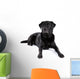 Black Labrador Retriever Dog on a White Background Wall Decal