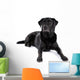 Black Labrador Retriever Dog on a White Background Wall Decal