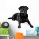 Black Labrador Retriever Dog on a White Background Wall Decal