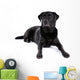 Black Labrador Retriever Dog on a White Background Wall Decal