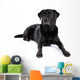 Black Labrador Retriever Dog on a White Background Wall Decal