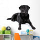 Black Labrador Retriever Dog on a White Background Wall Decal