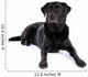 Black Labrador Retriever Dog on a White Background Wall Decal