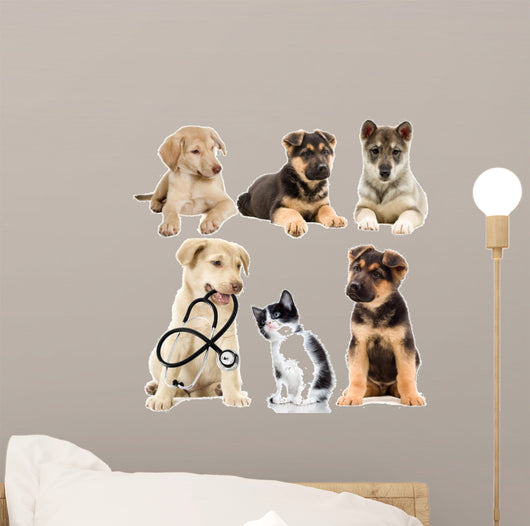 Veterinary Pets Puppy Wall Decal