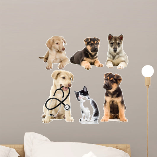 Veterinary Pets Puppy Wall Decal