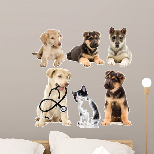 Veterinary Pets Puppy Wall Decal