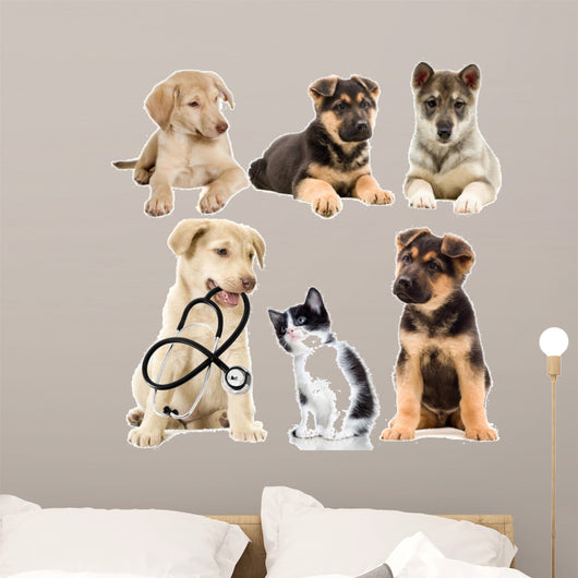 Veterinary Pets Puppy Wall Decal