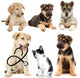 Veterinary Pets Puppy Wall Decal
