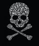 skull of skulls 
