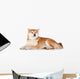 Red Shiba Inu Dog Wall Decal