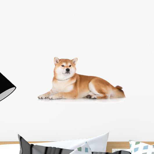 Red Shiba Inu Dog Wall Decal