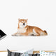 Red Shiba Inu Dog Wall Decal