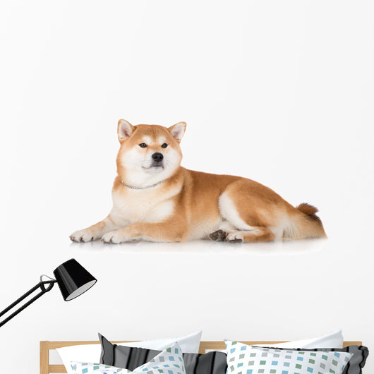 Red Shiba Inu Dog Wall Decal