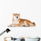 Red Shiba Inu Dog Wall Decal
