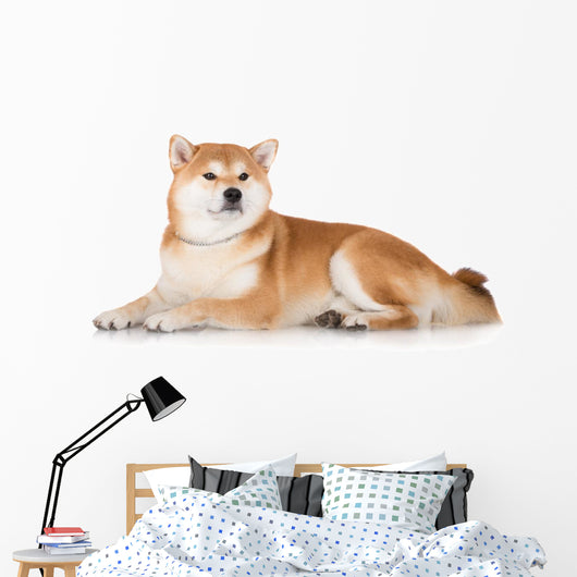 Red Shiba Inu Dog Wall Decal