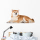 Red Shiba Inu Dog Wall Decal