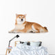 Red Shiba Inu Dog Wall Decal