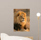 Big Male Lion Wall Decal