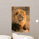Big Male Lion Wall Decal