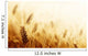 Wheat field 