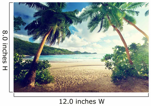 Sunset on Beach Mahe Island Seychelles 