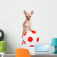Little soccer dog Wall Decal