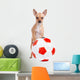 Little soccer dog Wall Decal