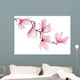 Pink spring magnolia flowers branch 