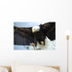 Bald Head Eagle Wall Mural