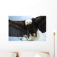 Bald Head Eagle Wall Mural