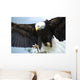 Bald Head Eagle Wall Mural