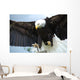 Bald Head Eagle Wall Mural