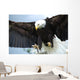 Bald Head Eagle Wall Mural